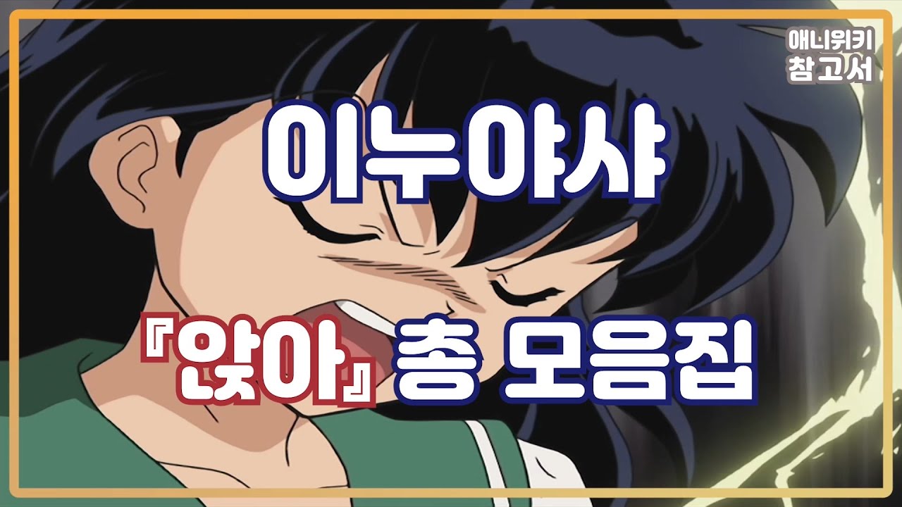 이누야샤 앉아 총 모음집