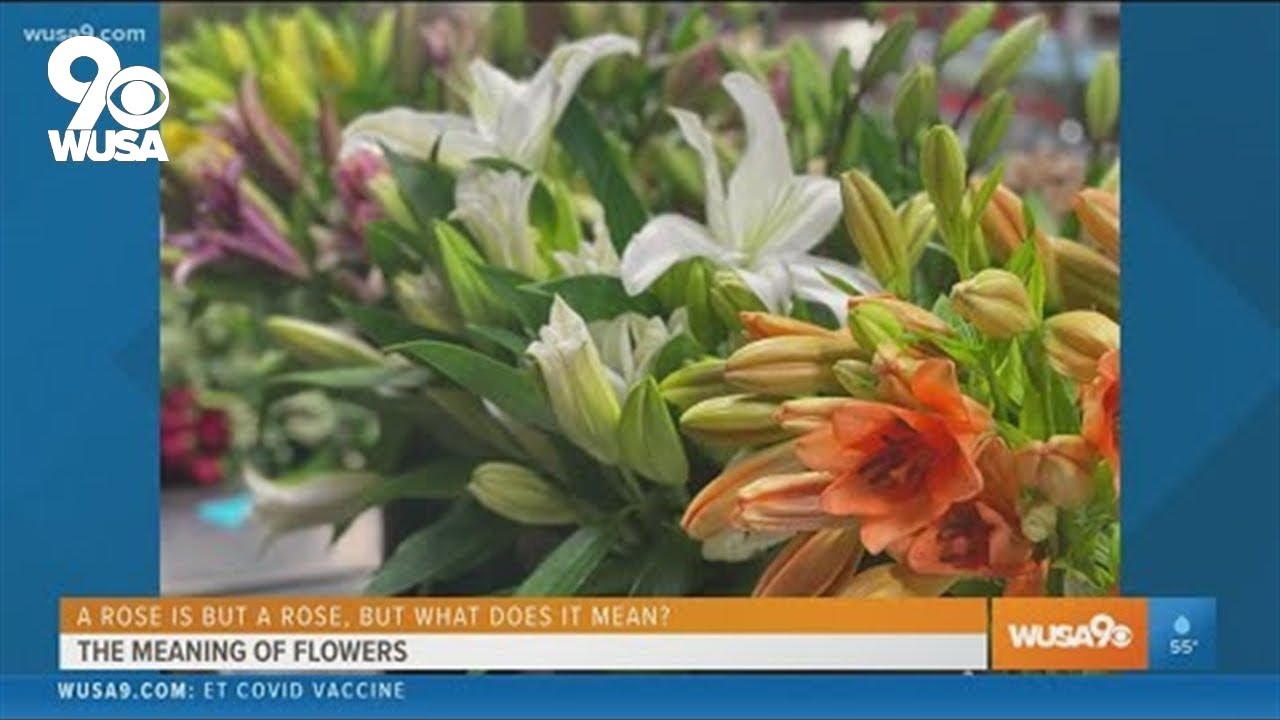 Do you know the meaning behind the flowers you send?