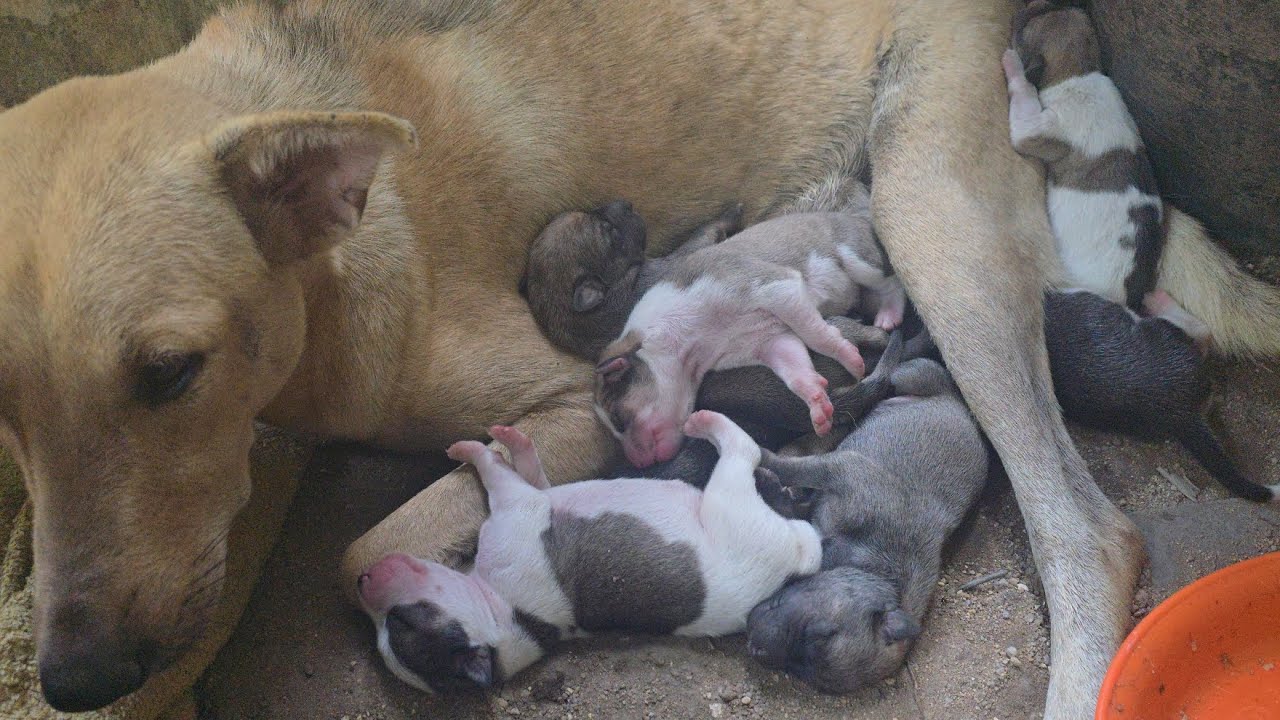Her children are really beautiful, they were just born recently.
