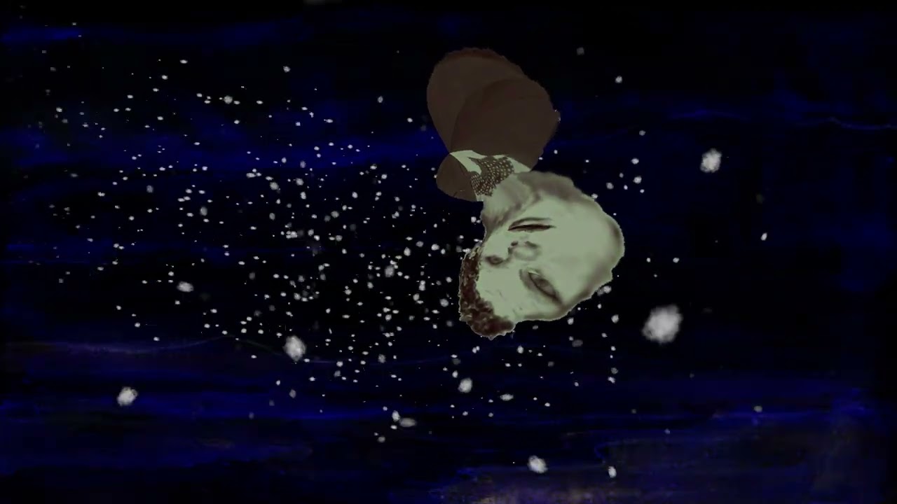 SILENT SNOW