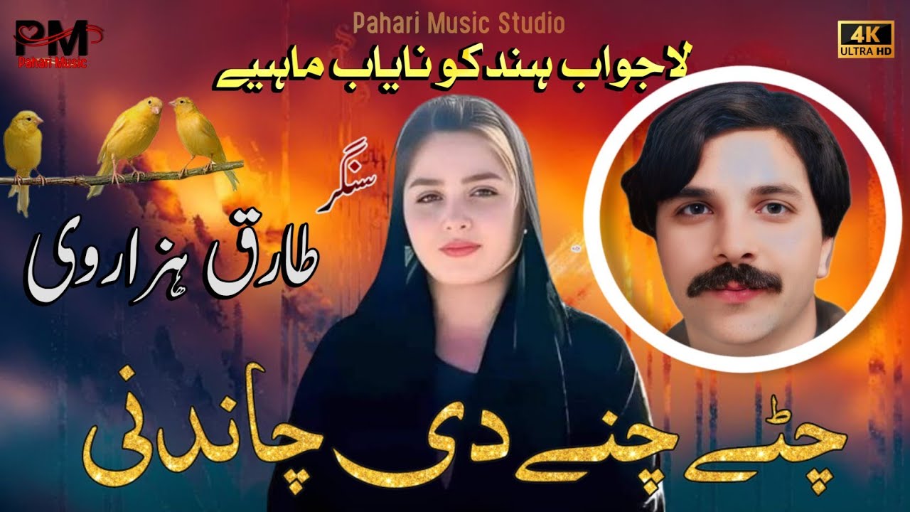 Chity Chany Di Chandni | Tariq Hazara | Hindko Hit Song #hindkosongs