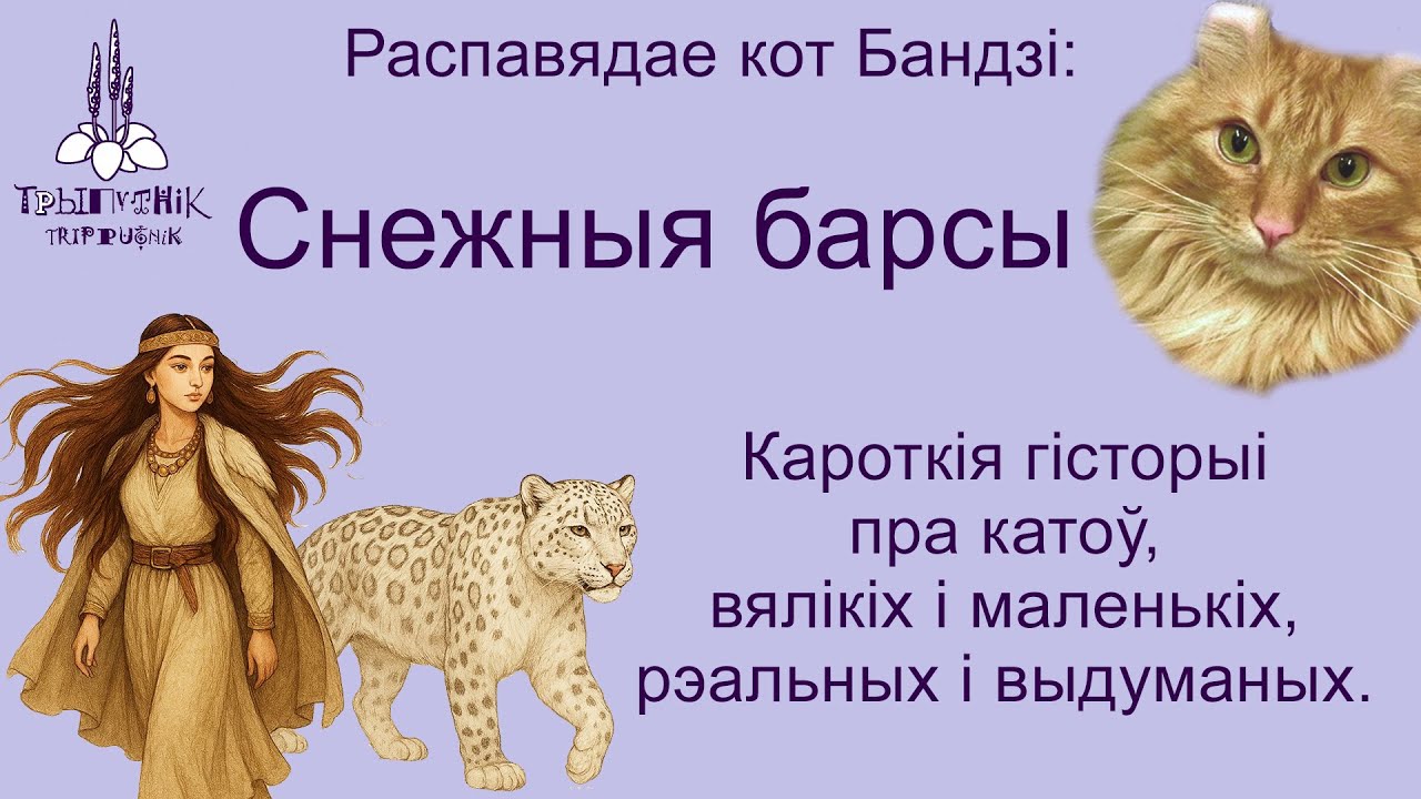 Снежныя барсы і Тыбет, Алтайская прынцэса, Залаты чалавек, Самаркандскія ірбісы, Вялікі шаўковы шлях