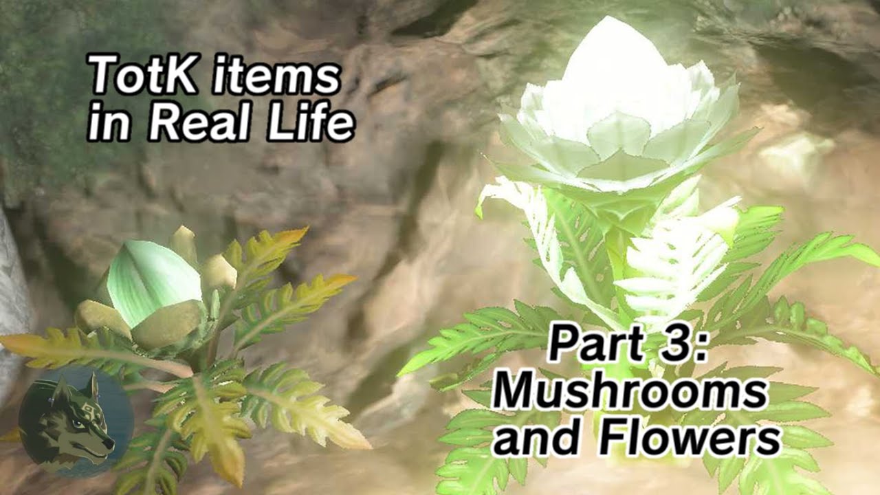 TotK items in Real Life - Part 3: Mushrooms and Flowers