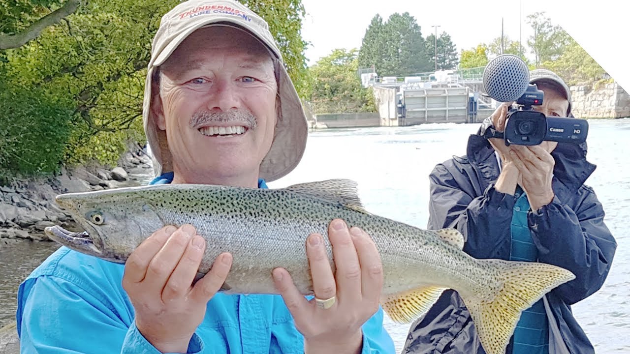 Pier Fishing for Salmon