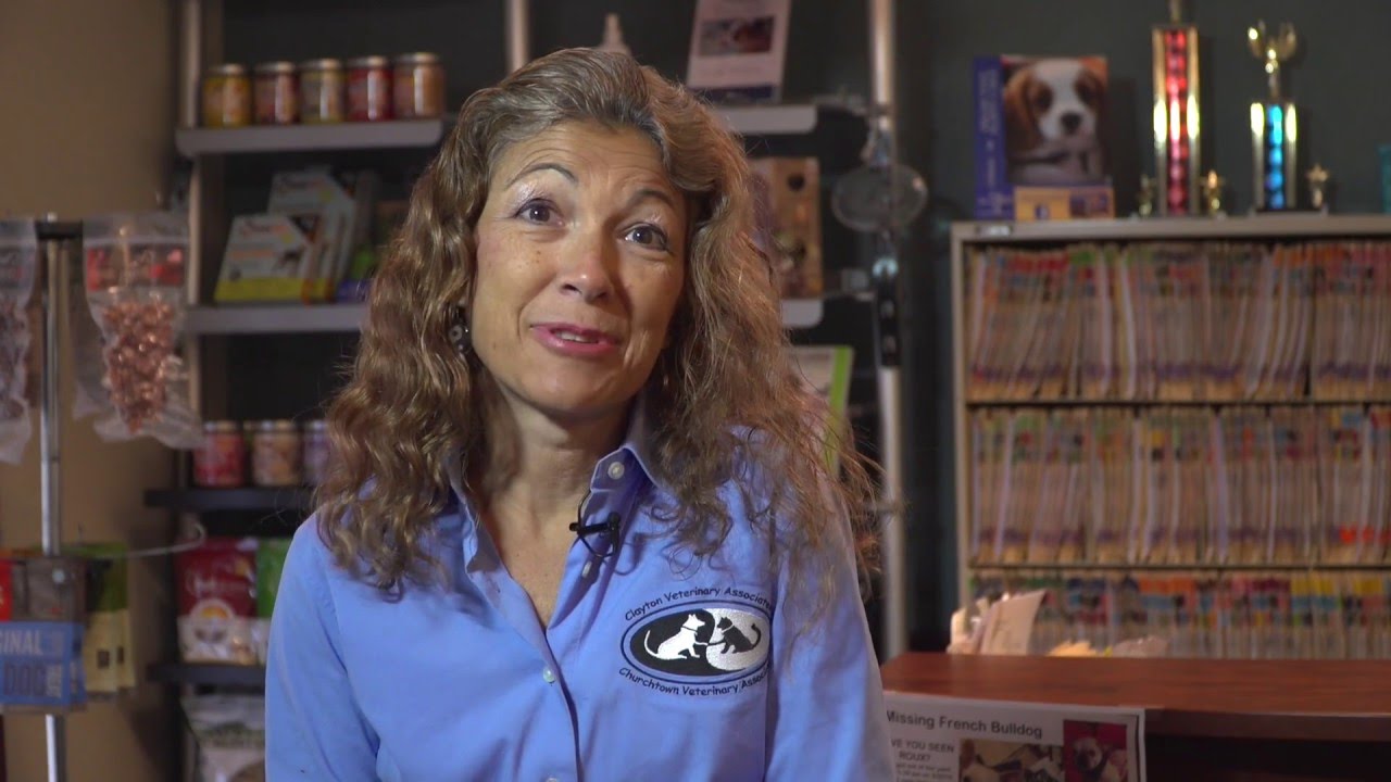 Dr. Judy Morgan DVM | Best Vet For Me Video