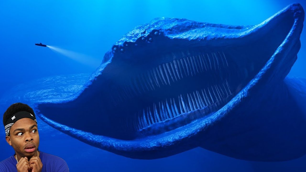 Terrifying Sea Creatures Caught On Camera Experts Can't Explain