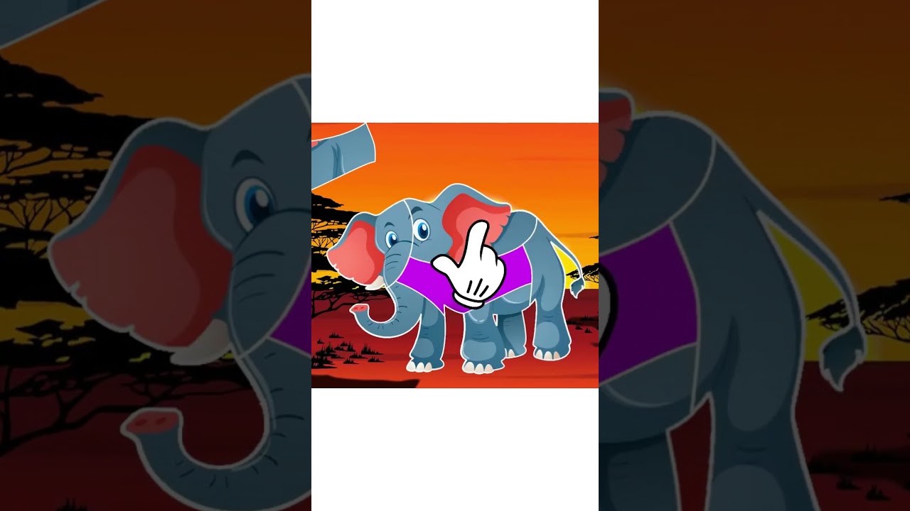 Тварини африки 🐫🐘🦁  