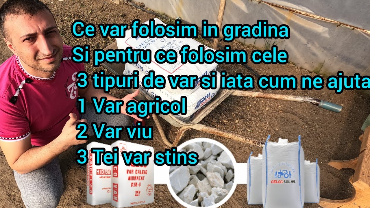 Cand se da cu var pe pamant si ce tip de var folosim in gradina de legume bio