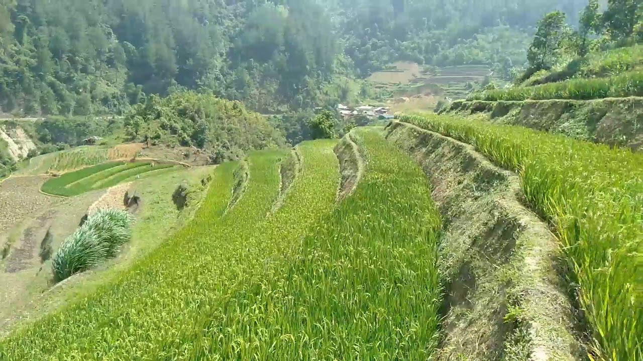 Lub neej ua liaj ua teb kho siab tshaj plaws