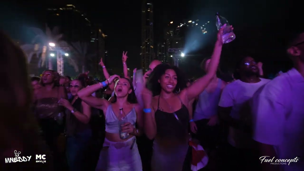 DJ Mneddy ft. MC Smylie at Butterfly Carnival Dubai 🎶🎉 REMA | ASAKE | WIZKID | BURNA BOY | ISMA IP