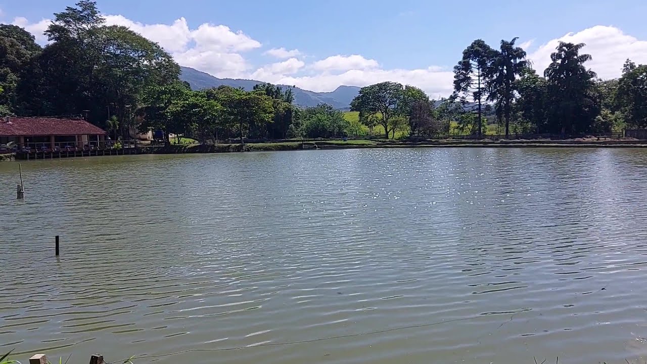 SÍTIO BELÍSSIMO 55.694m² com 4 maravilhosos lagos, 4 casas, pomar e galinheiro em Pindamonhangaba/SP