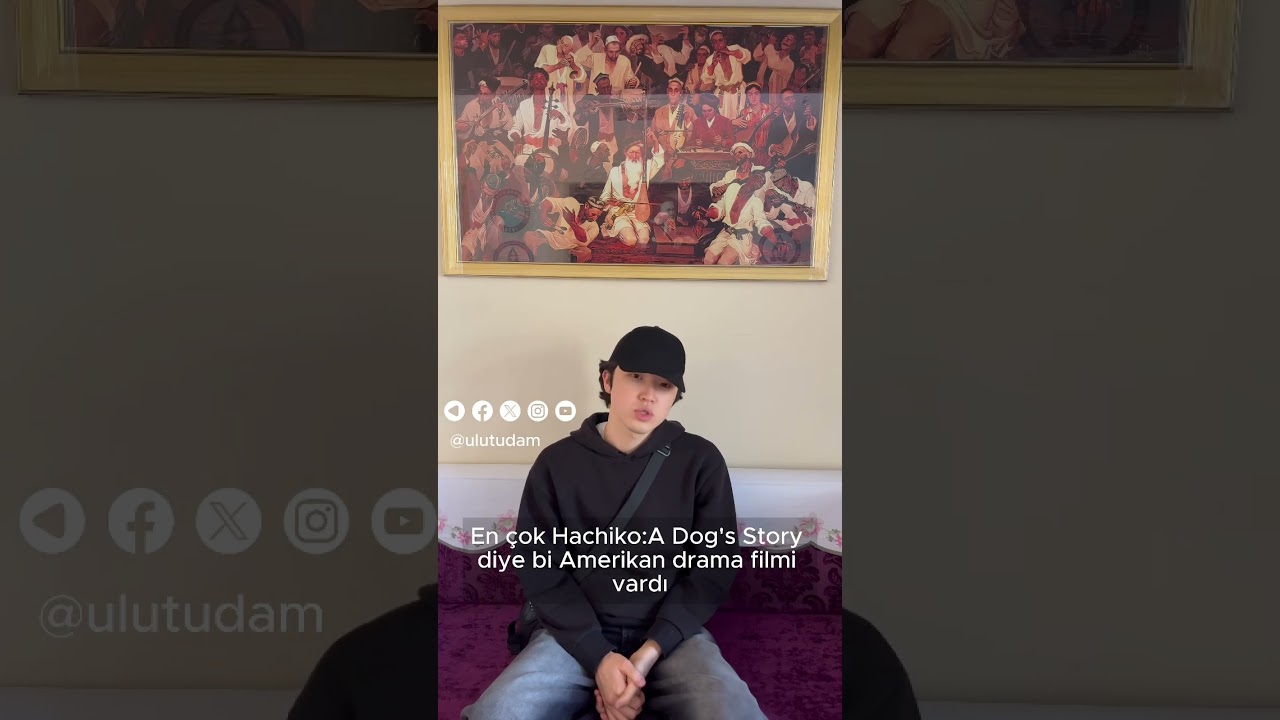Kısa Cevap videomuzda bug&uuml;nk&uuml; konuğumuz Dave ile beraberiz!🥳.#t&uuml;dam #ulut&uuml;dam #kısacevap #t&uuml;rkiye