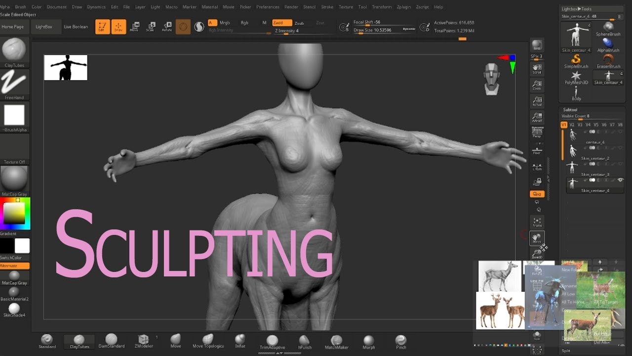 Sculpting the Centaur - part 3 of the Centaur tutorial series