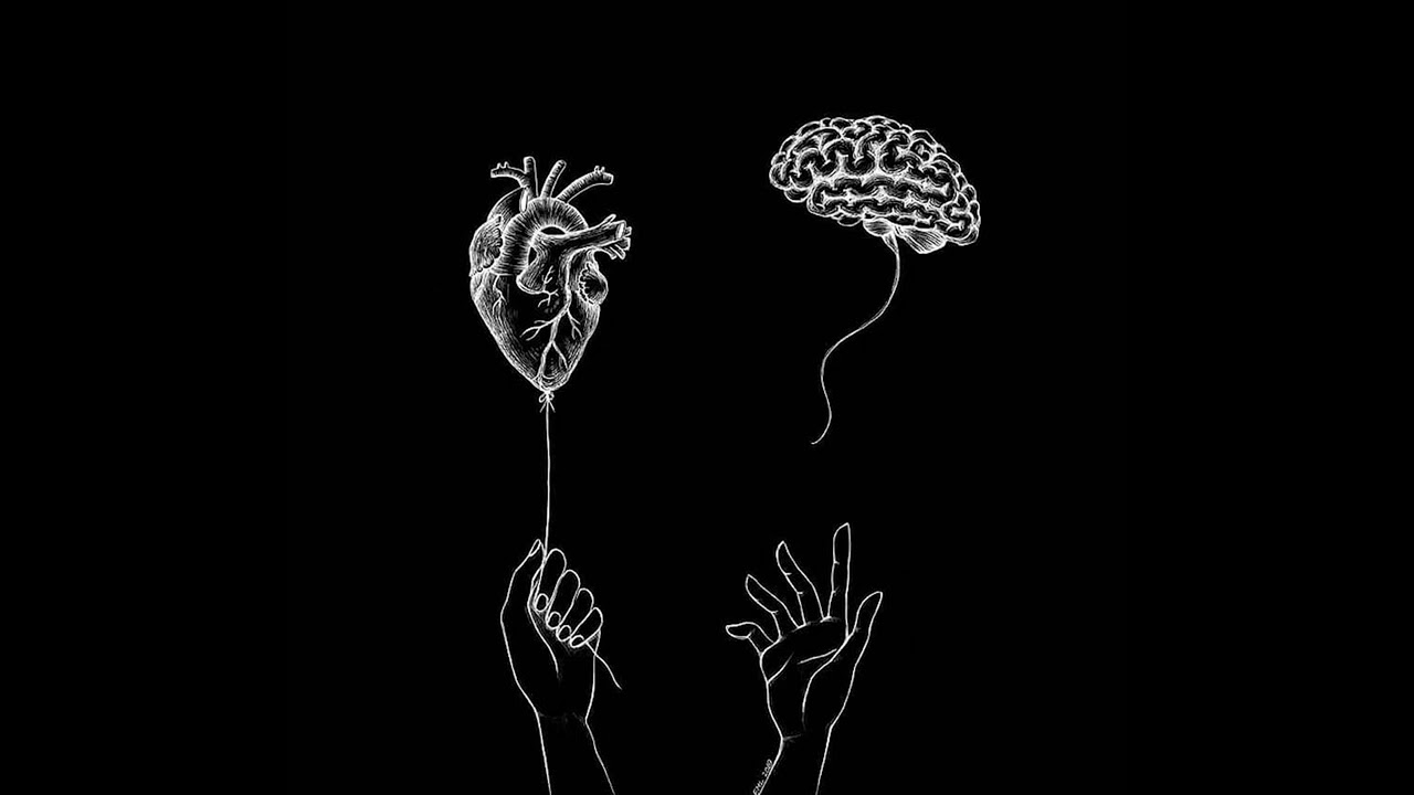 ChrisEvs - Web of Knots