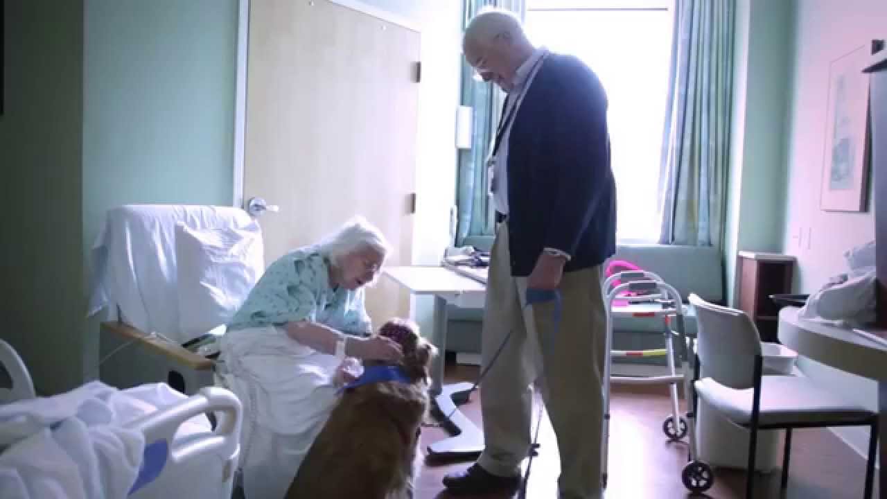 Sentara pet therapy program brings joy, comfort to patients