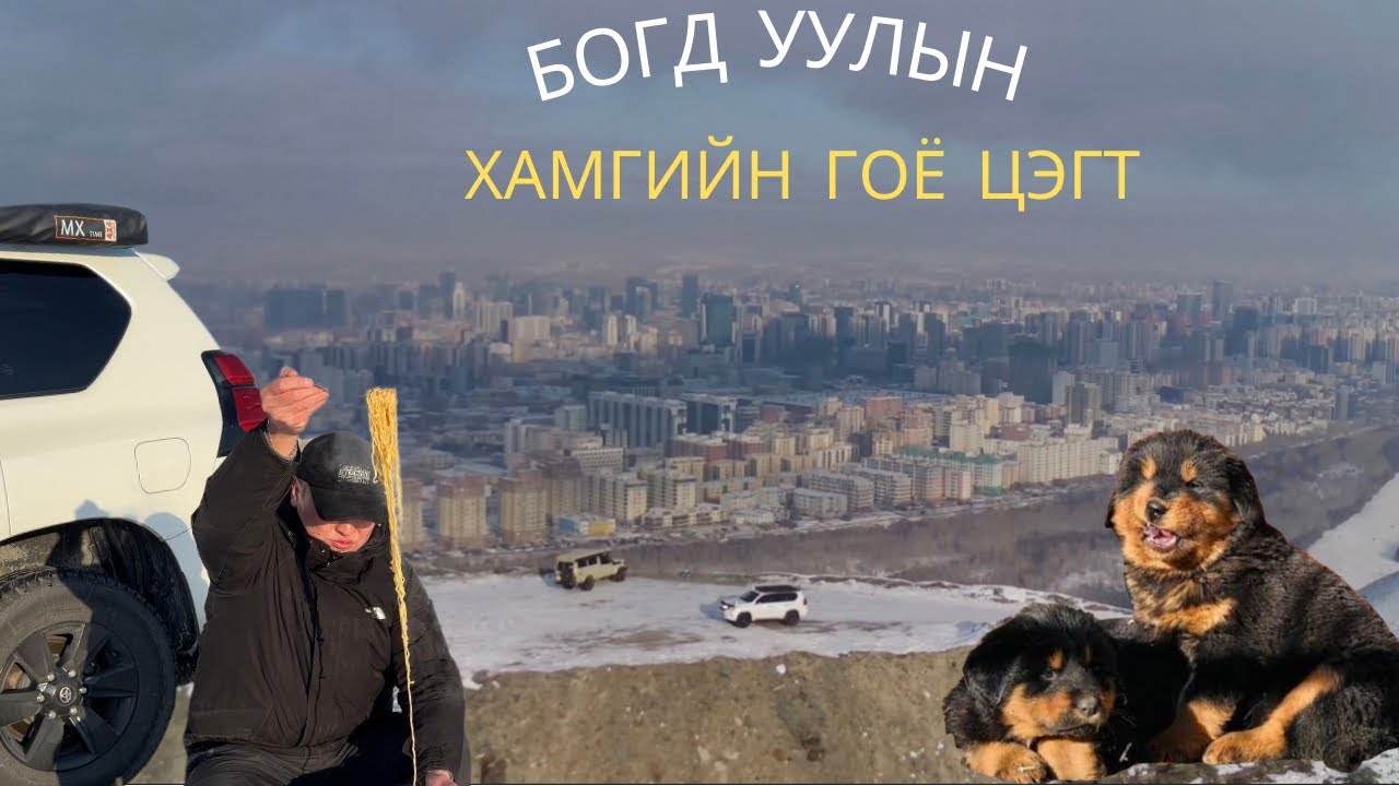 Богд уулын хамгийн гоё цэгт машинаар гармаар байна уу? #mongolia #mountains #dog #trip 