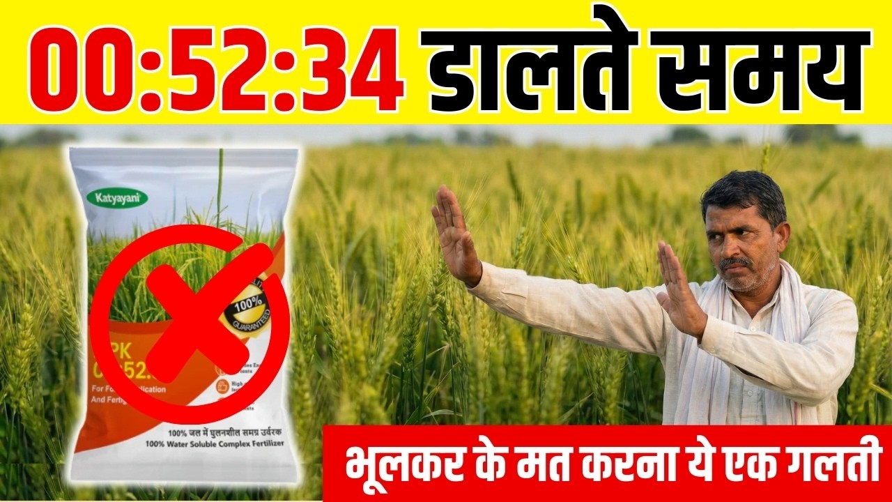 00:52:34 खाद डालते समय ये एक गलती कर दी तो फसल बर्बाद! जानिए सही तरीका