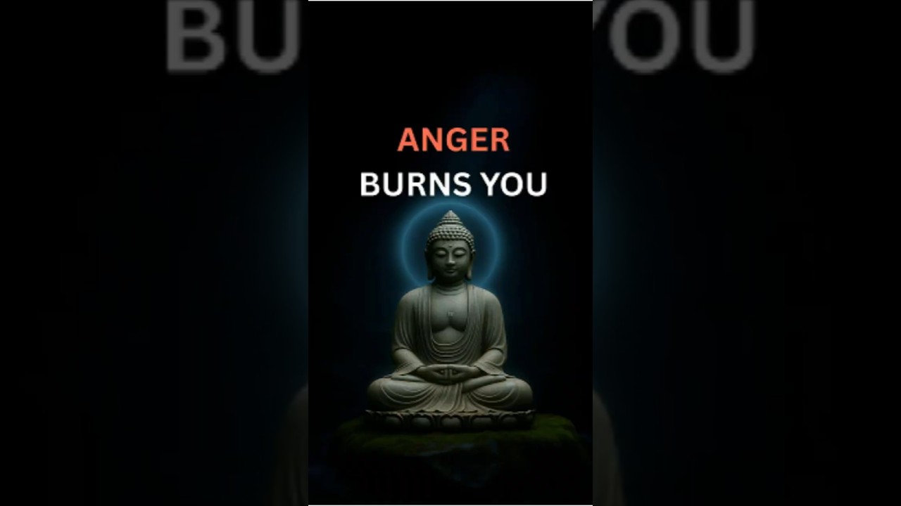 Buddhist Wisdom on Anger and Injustice