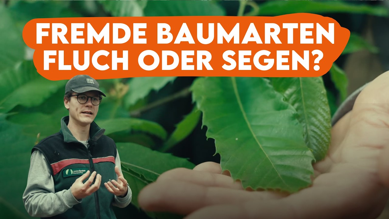 Diese BÄUME solltest du NIEMALS pflanzen - Forst erklärt
