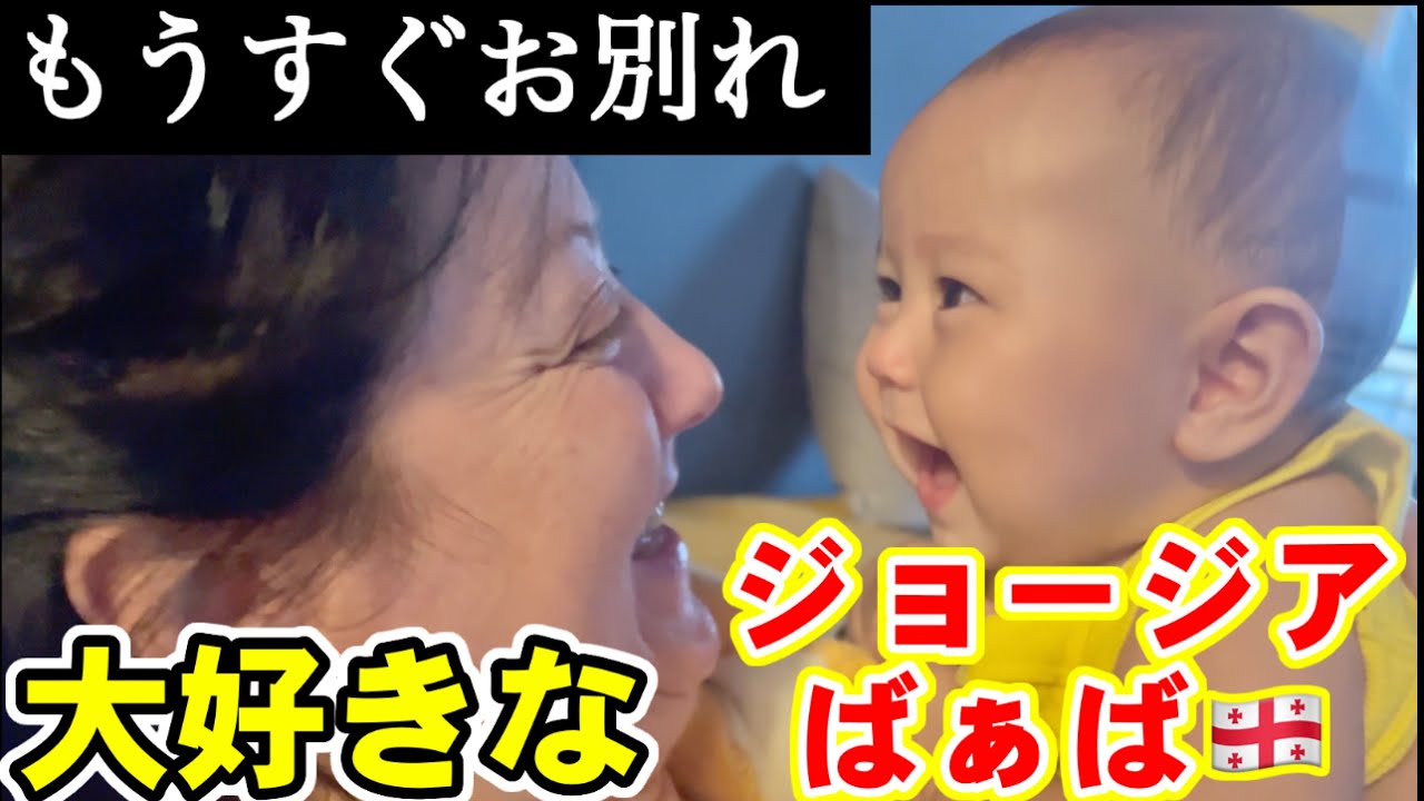 【生後８ヶ月】仲良しジョージア家族が離れ離れになることを後悔し始める日本人夫
