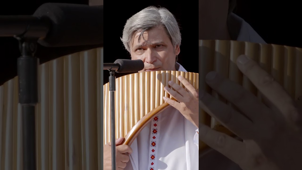 Constantin Moscovici-An Eisai Ena Asteri (cover -Nikos Vertis) #live #panflutemusic #concert