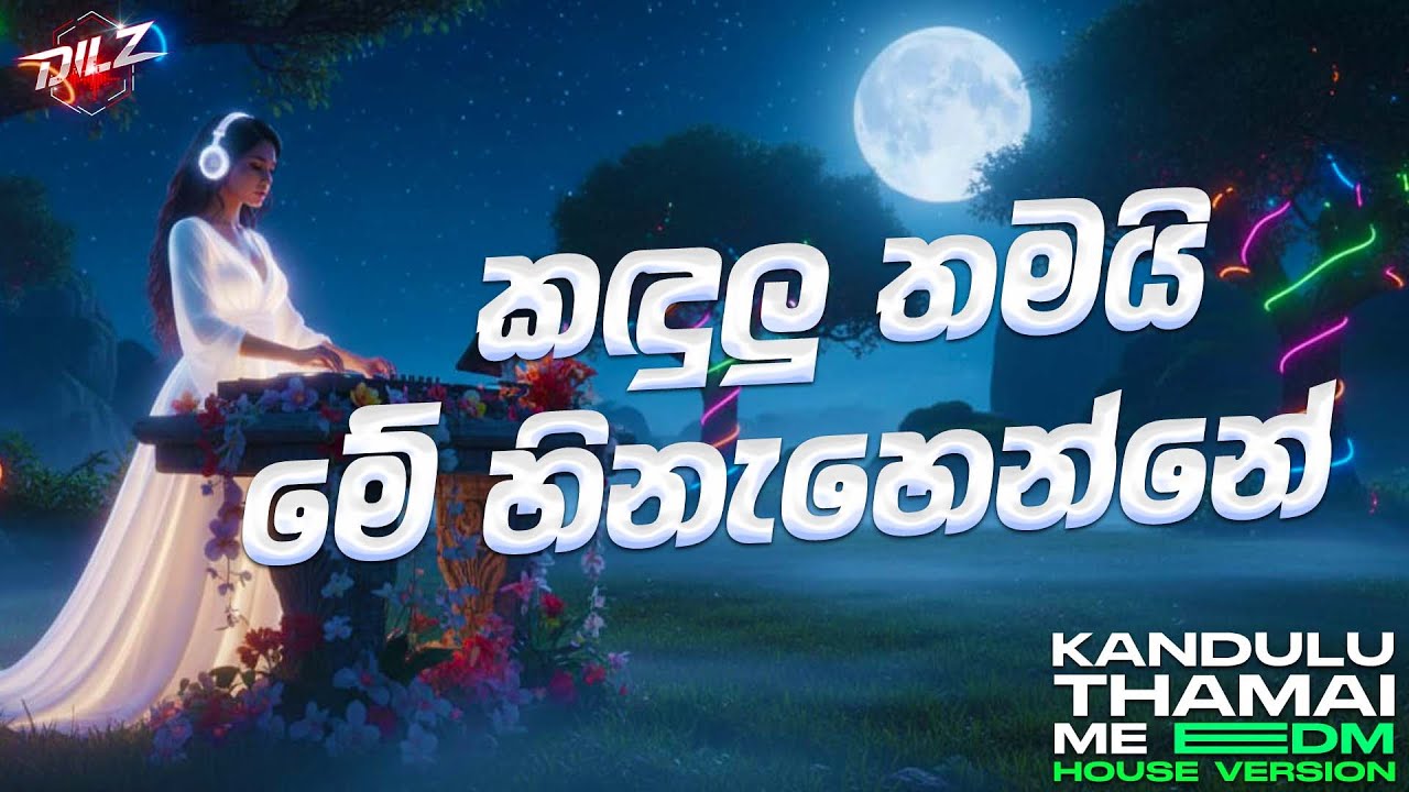 Kandulu Thamai Me Hinahenne | කඳුලු තමයි මේ හිනැහෙන්නේ | EDM Version | Female Cover | DILZ