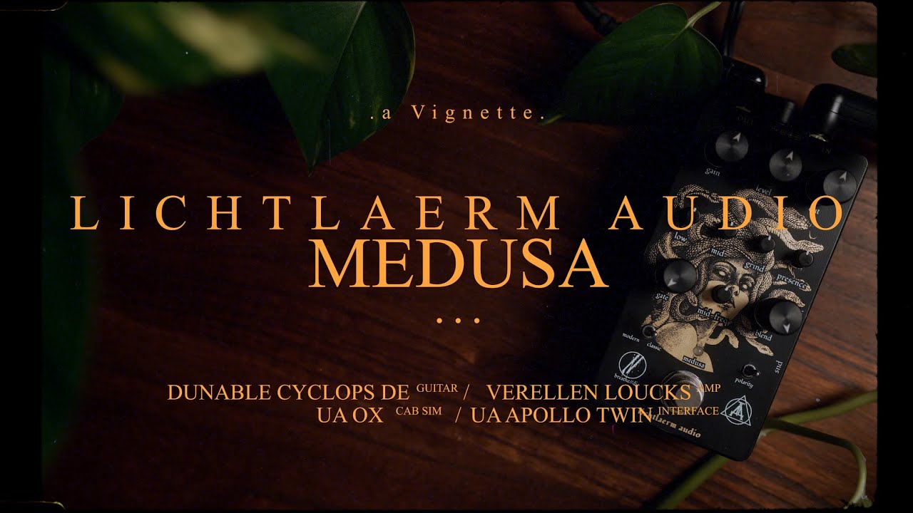 A modern take on the Boss HM2 - Lichtlaerm Audio Medusa | Vignette Demos