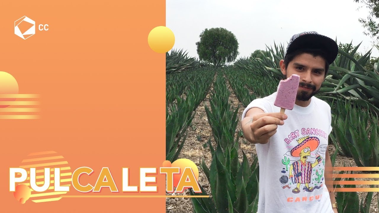 3.- Pulcaletas | GASTRONOMÍA CALLEJERA