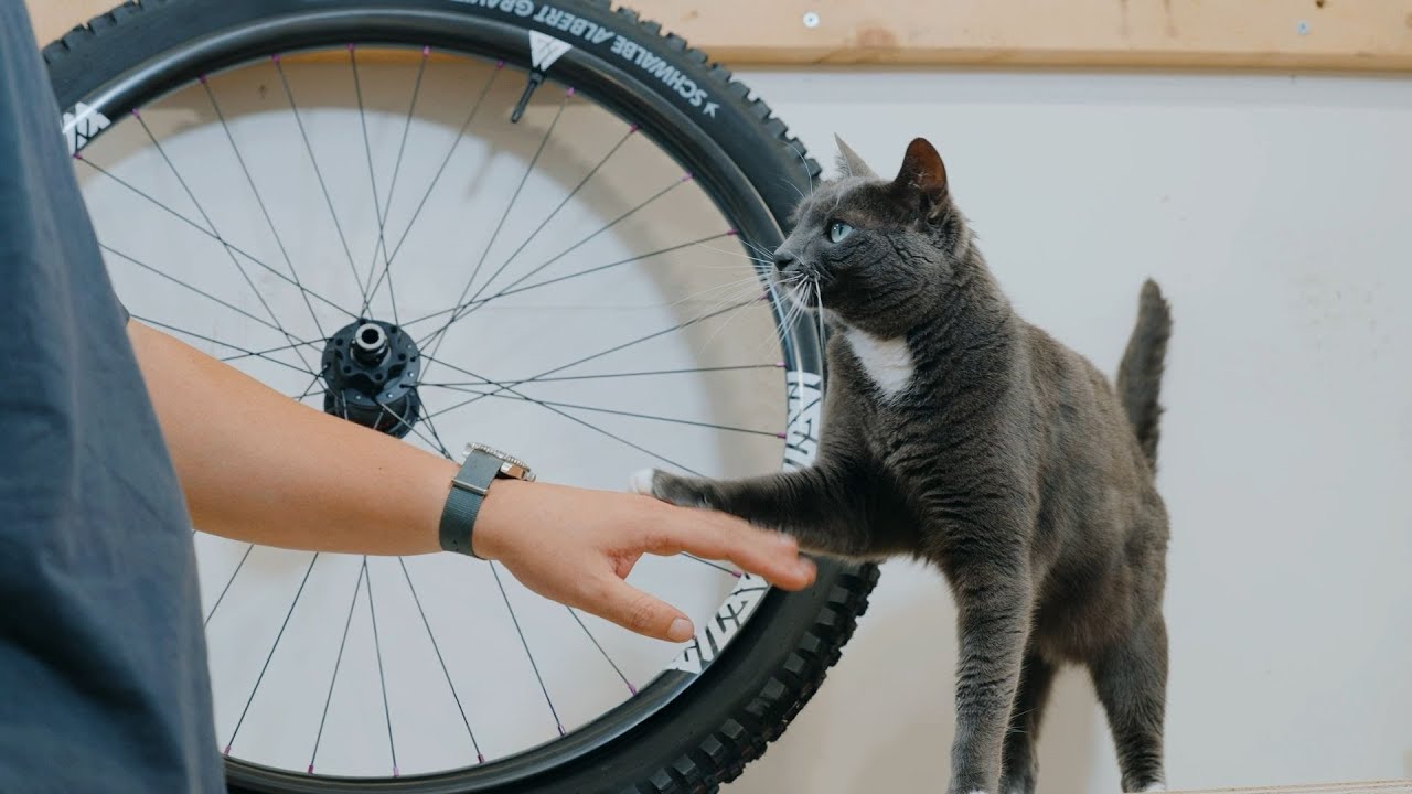 How I built my bike from start to finish | Devinci Troy Dream Build