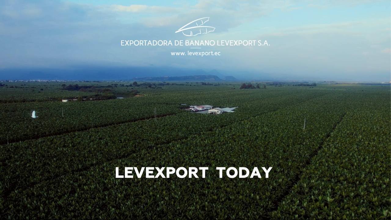 LEVEXPORT  TODAY #distributor #Ecuador #bananas  #bananas