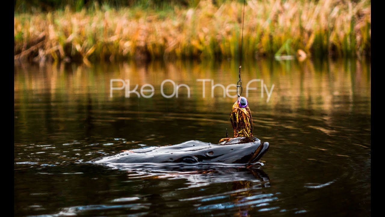 Polder Action - Pike On The Fly