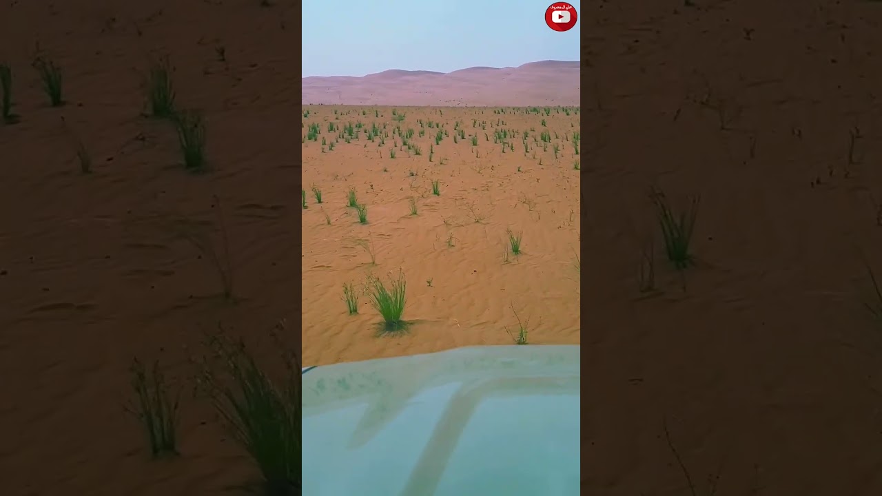 منكوس : انا في البلد كني من اغلا البشر معزول ( شقاق النبوت الربع الخالي ١٤٤٦ )
