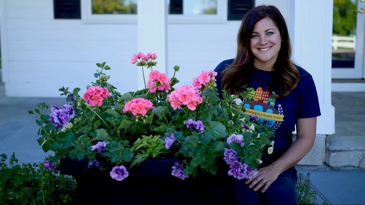 Planting up Containers for Full Sun // Garden Answer