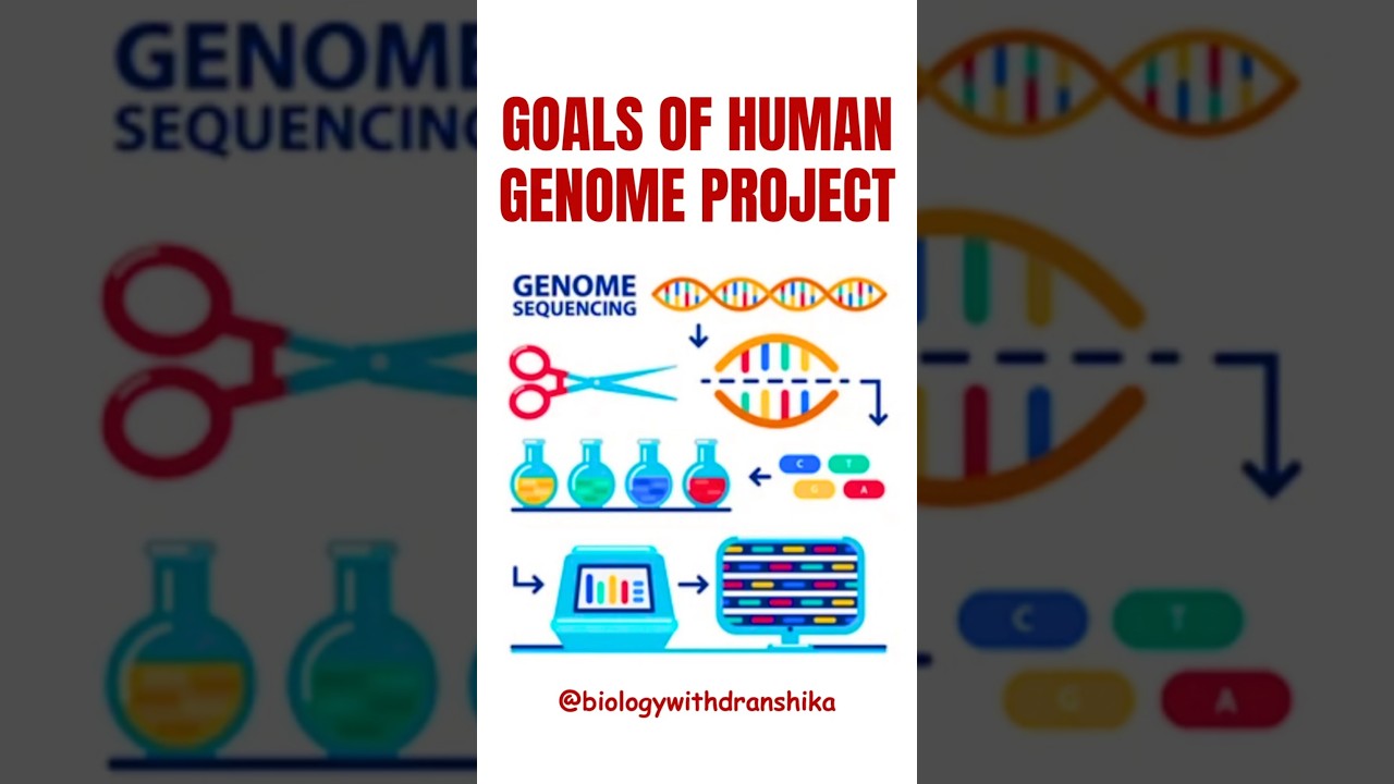 Goals of the Human Genome Project (HGP) 🌍 #humangenomeproject #hgp #genetics #molecularbiology