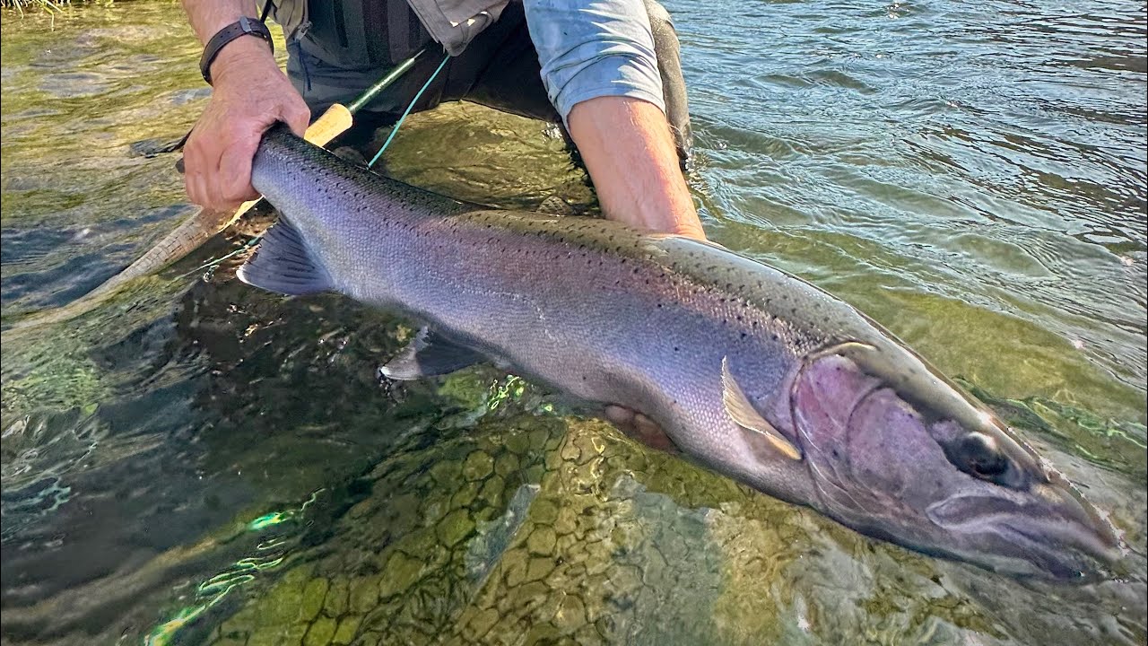 Oregon’s Deschutes River Steelhead Jet Boat Camp