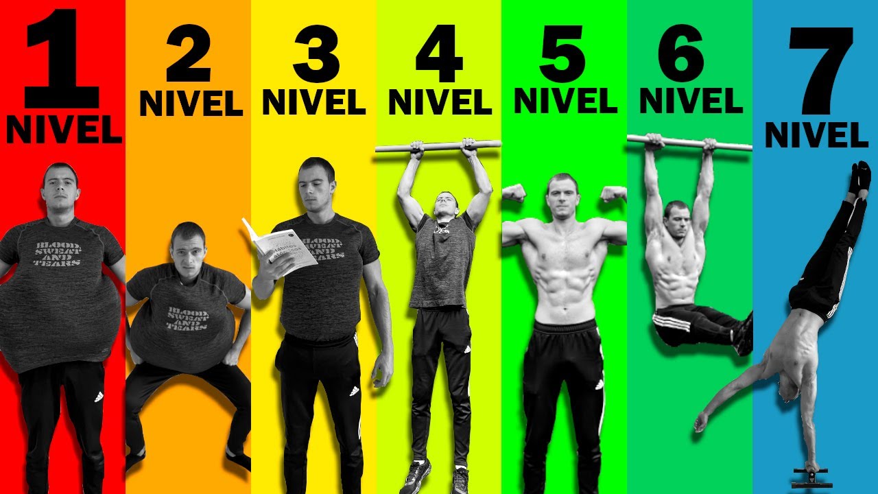 Los 7 Niveles de un PRINCIPIANTE en Calistenia