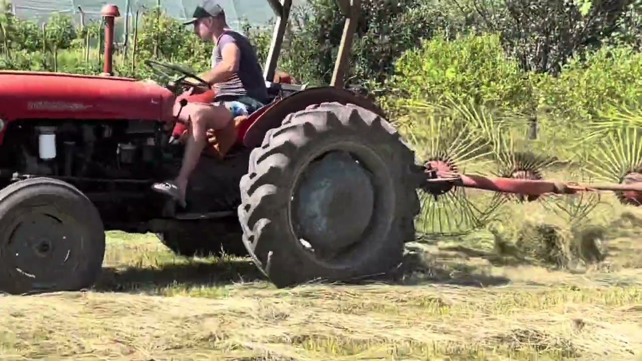 SKUPLJANJE I BALIRANJE SENA SA IMT533 @BAĆABELI 