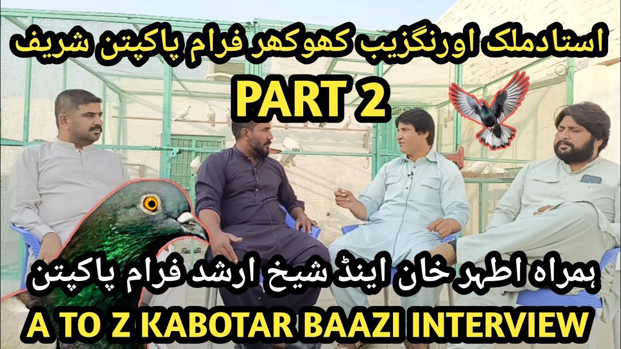 IK SHOK KABOTAR BAZI DA INTERVIEW|| PART 2 USTAD MALIK AURANGZAIB KHOKHAR #pigeon #kabootar #kabutar