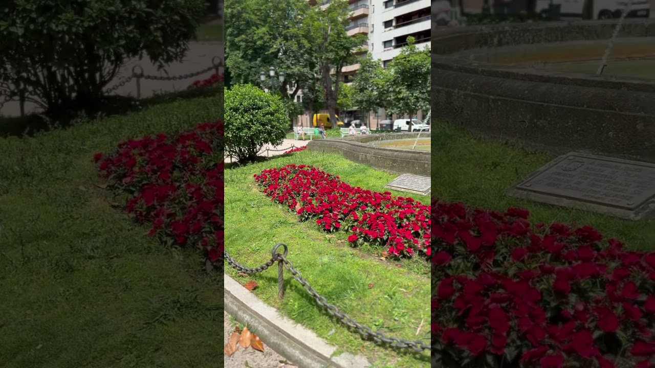 Vigo Gorgeous Sounds#vigo #nature #travel #god #birds