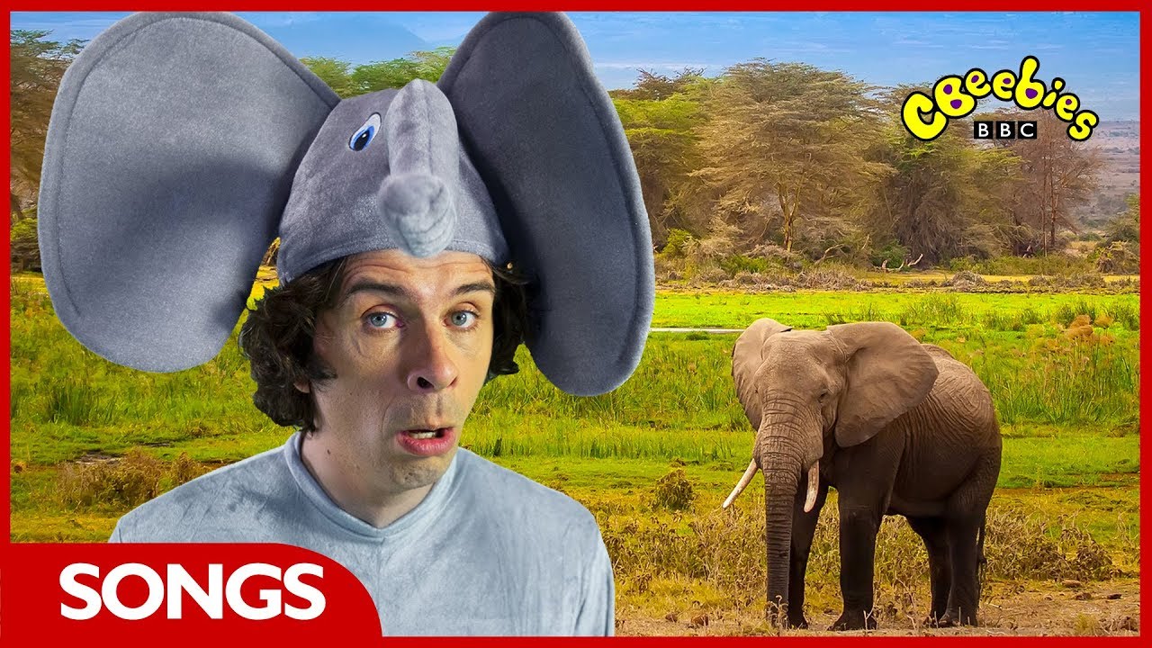 CBeebies | Andy's Animal Raps | Elephant Stomp