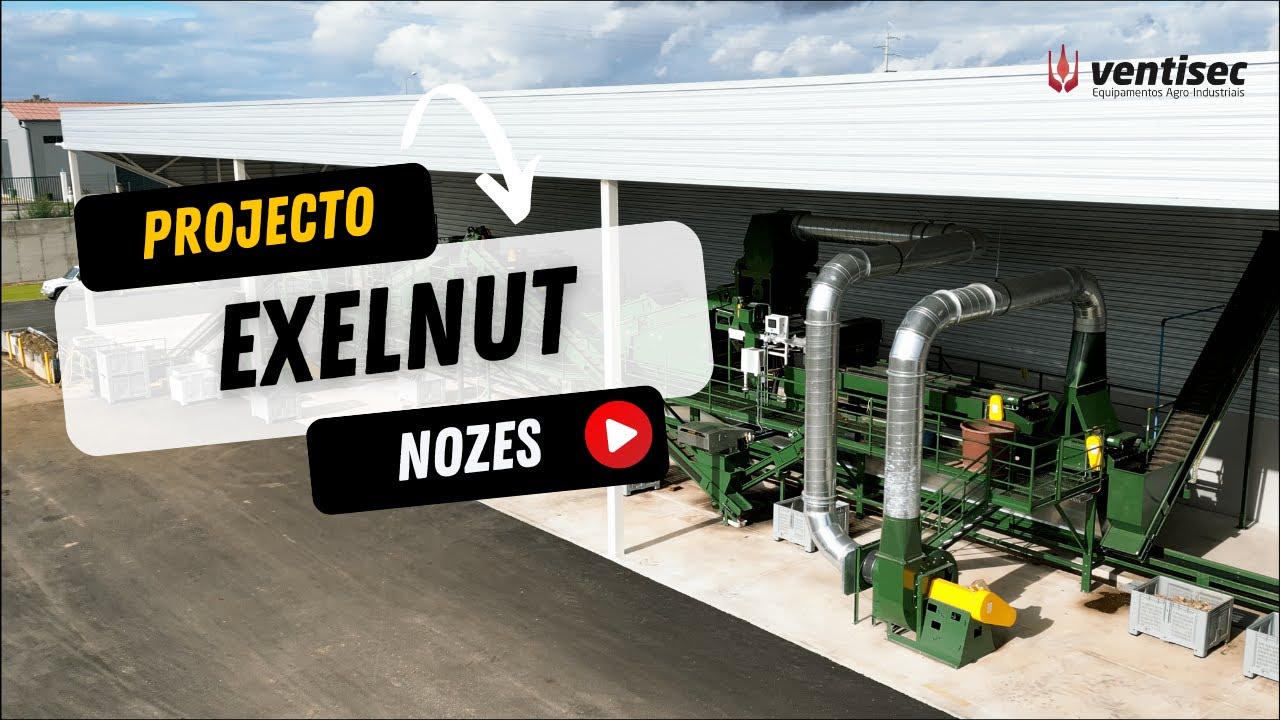 Projeto Exelnut