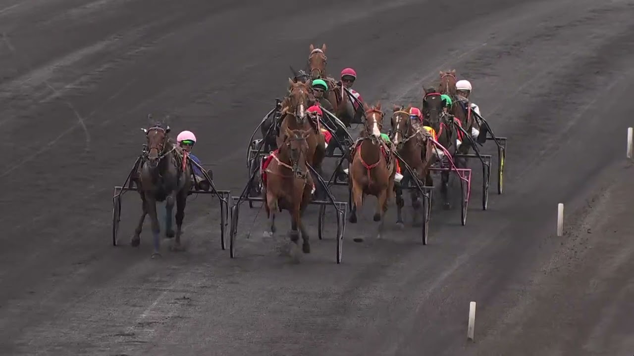 PRIX JOCKEY - CRITERIUM DES 5 ANS Q2