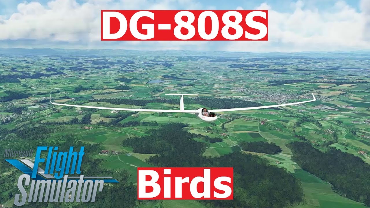 Flugzeugbau DG-808S Thermals and Birds | Microsoft Flight Simulator 2020