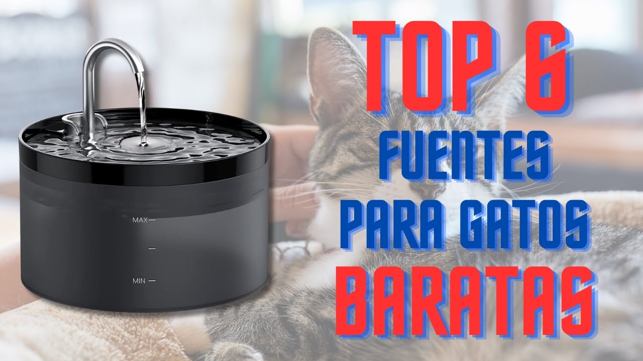 🔴😺 Las 6 MEJORES Fuentes Para Gatos más BARATOS Disponibles en Amazon [2025] | Bebederos para Gatos