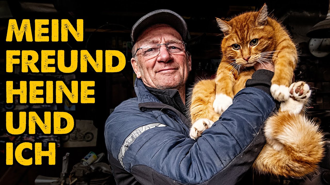 Schrumpflack und ein tierischer Helfer | Harley Davidson Ironhead Sportster | Andis Funktionspunk