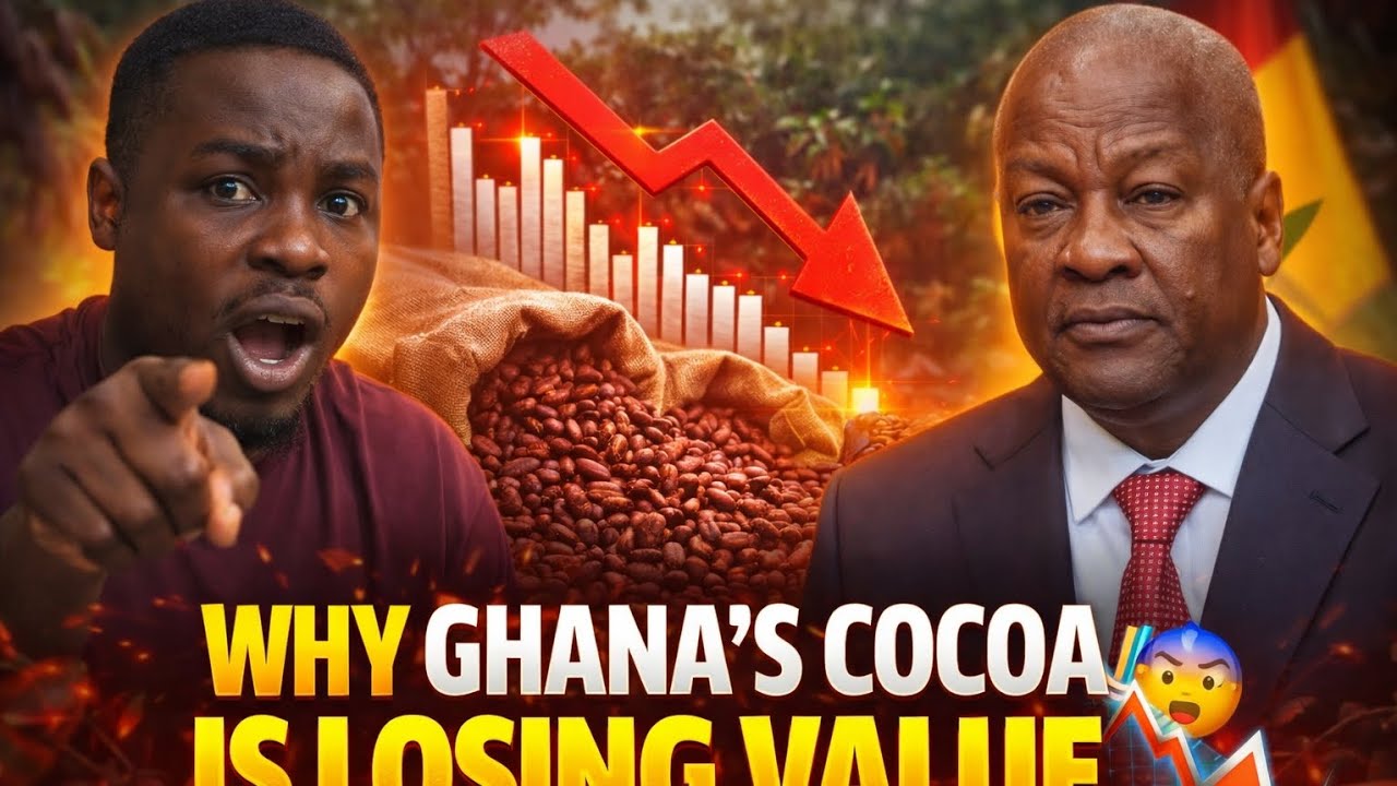 Why Cocoa Prices Are Falling in Ghana 🇬🇭📉 | John Dramani Mahama Speaks on Ghana’s Cocoa Crisis