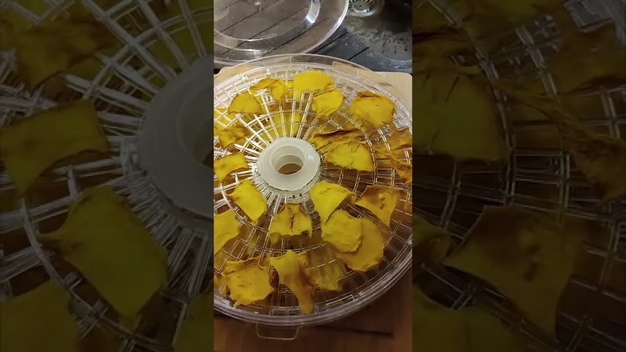 Selfmade😍| Getrocknete Mango-Scheiben🥭| aus dem Dörrgerät! | #shorts