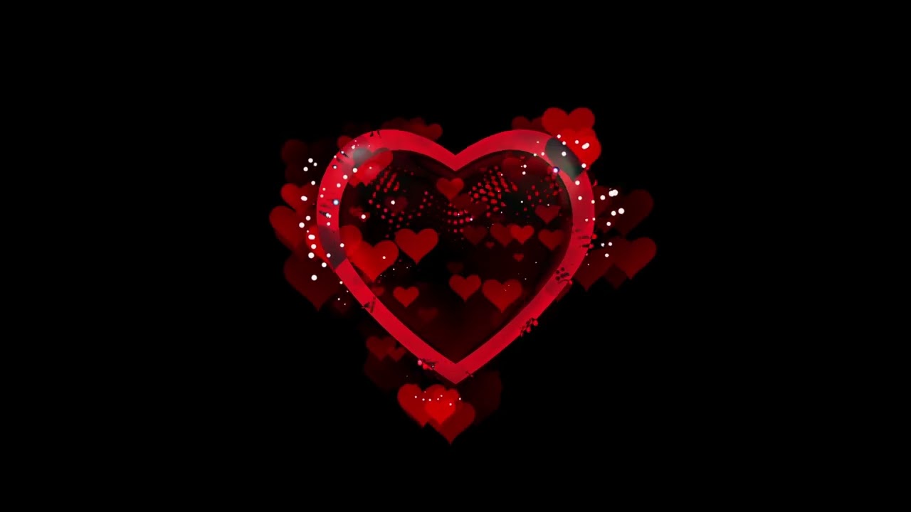 Heartbeat // Valentine's Day // Romantic Video Effect // Wedding & Celebration