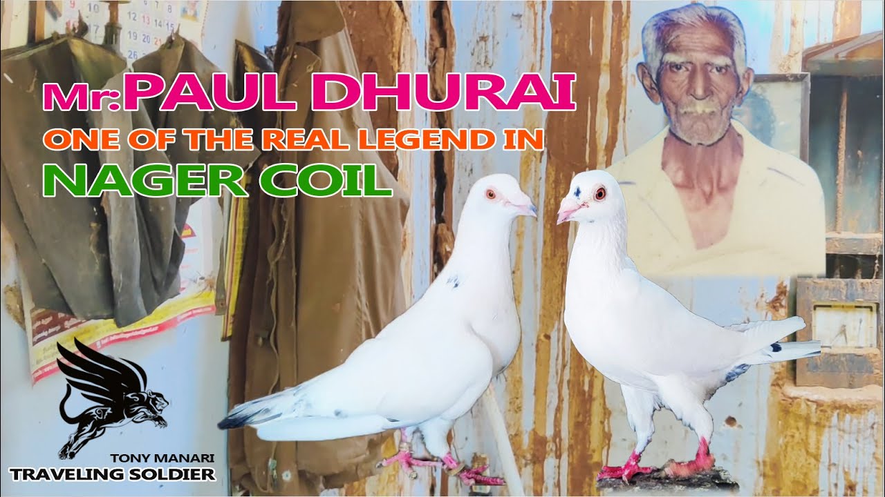 Puthallam PAUL DHURAI#nagercoil #unlimited #tippler #tournnament #record#winner  #miltry #trending