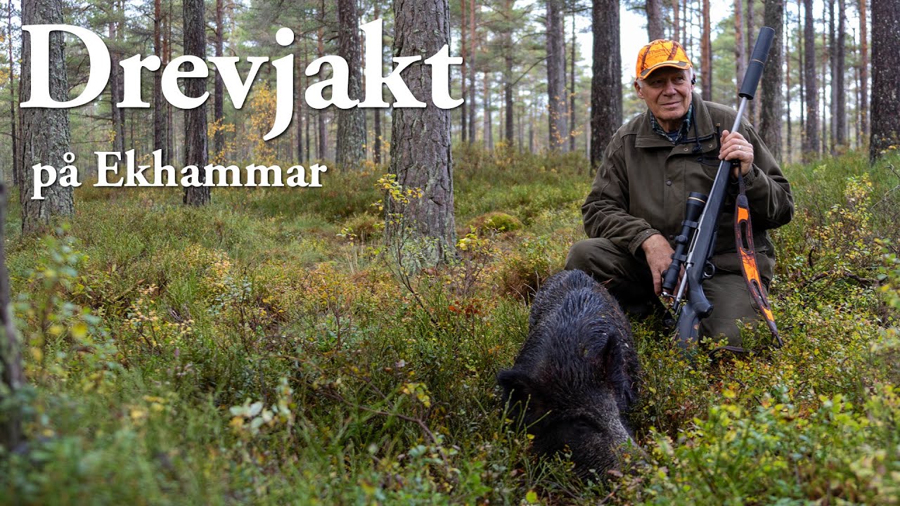 Drevjakt på Ekhammar